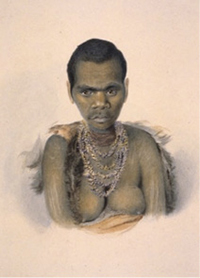 Image of Planobeener