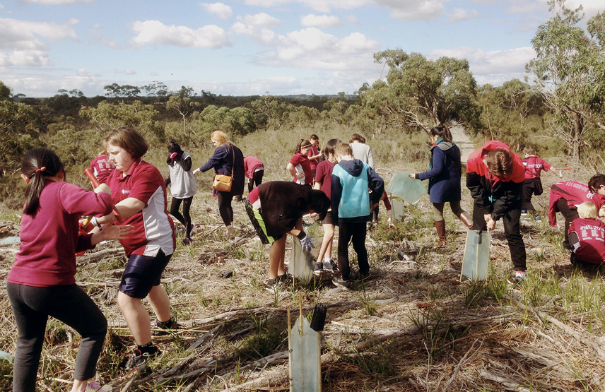 Kids planting little plants