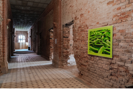 Sokołowsko Sanatorium Installation