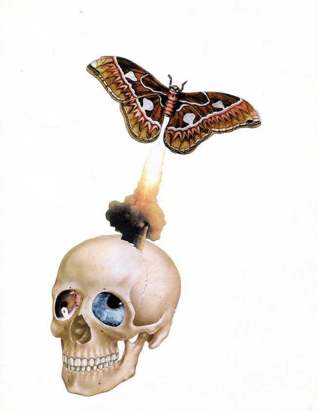 Image of a butterfly launching in the air like a rocket from a skull
