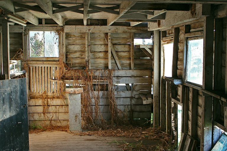 The interior of a shearing shed