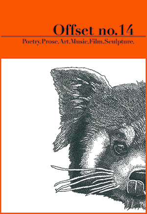 Offset 14 cover, showing a drawing of the right side of a red panda bear's face, background is orange.